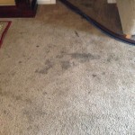 Dirty-Carpet-Pleasanton-CA