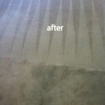Pleasanton-Carpet-Cleaning-Carpet-Cleaning