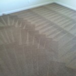 Pleasanton-Carpet-Cleaning-Wall-To-Wall